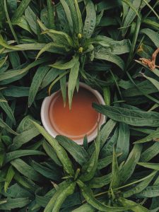 use ayurvedic herbs in tea